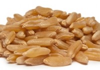 Хорасан - древната твърда пшеница